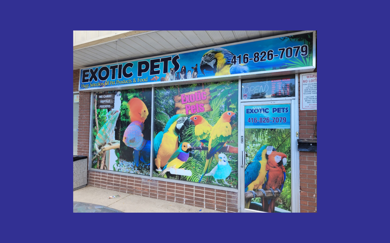 Picture of the Exotic Pets fascia sign installed by 6ix Signs Toronto.